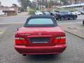 Mercedes-Benz CLK 200 ELEGANCE Rojo - thumbnail 6
