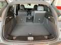 Alfa Romeo Tonale 1.6 diesel 130 CV TCT6 Ti Gris - thumbnail 11