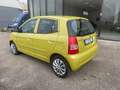 Kia Picanto Picanto 1.1 EX Fresh X NEOPATENTATI Oro - thumbnail 7