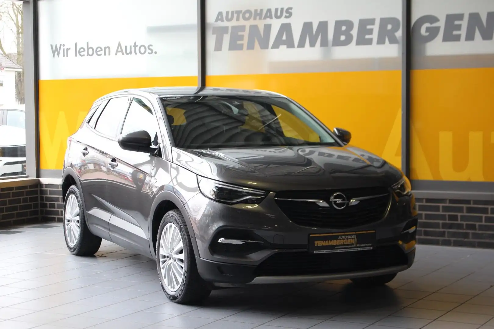 Opel Grandland X Innovation AT-8 Navi Kamera LED AHK Gris - 2