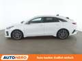 Kia ProCeed / pro_cee'd 1.6 TGDI GT Aut.*NAVI*LED*ACC*CAM*PDC*SHZ* Weiß - thumbnail 3