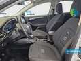 Ford Focus 1.0 Ecoboost MHEV Active 155 Weiß - thumbnail 9