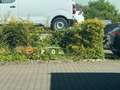 Lexus NX 350h E-FOUR Overtrail *Pano*360*HUD*Navi*LED* Beige - thumbnail 30