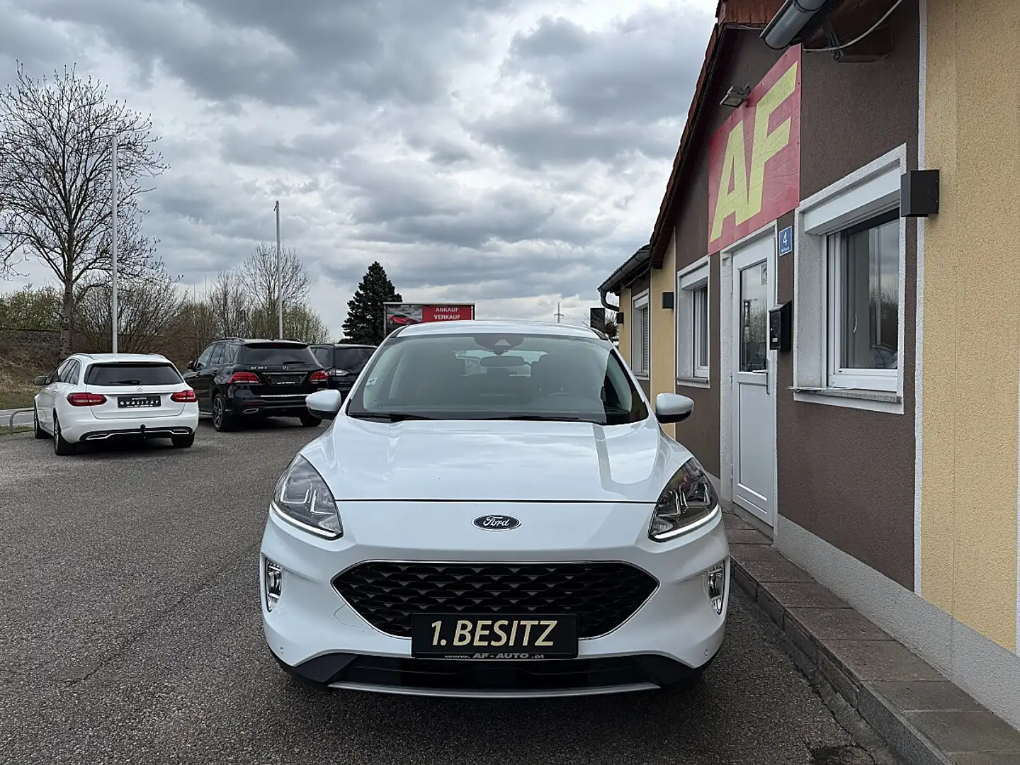 Ford Kuga 1,5 EcoBlue Cool & Connect Weiß - 2