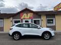 Ford Kuga 1,5 EcoBlue Cool & Connect Weiß - thumbnail 3