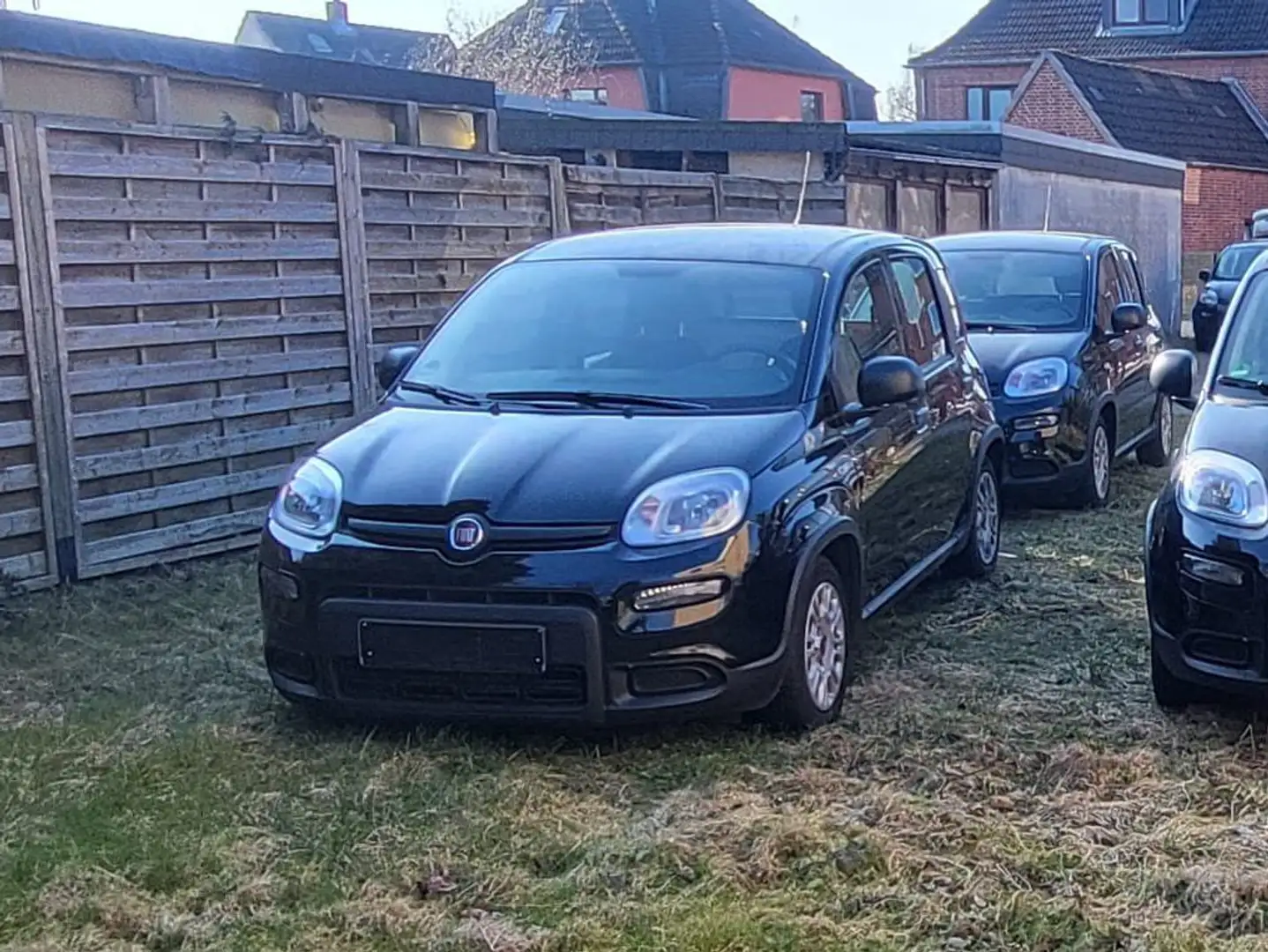 Fiat Panda Panda/Pandina 1.0 GSE Hybrid Schwarz - 1