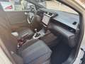 Ford Puma 1.0 EcoBoost Hybrid 125 CV S&S ST-Line Gris - thumbnail 17