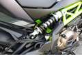 Otros Qj Motors SRK 400 1.Hand+Werksgarantie+Wenig KM Gris - thumbnail 19