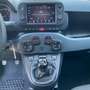 Fiat Panda Panda 1.0 firefly hybrid Cross Verde - thumbnail 15