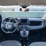 Fiat Panda Panda 1.0 firefly hybrid Cross Verde - thumbnail 7