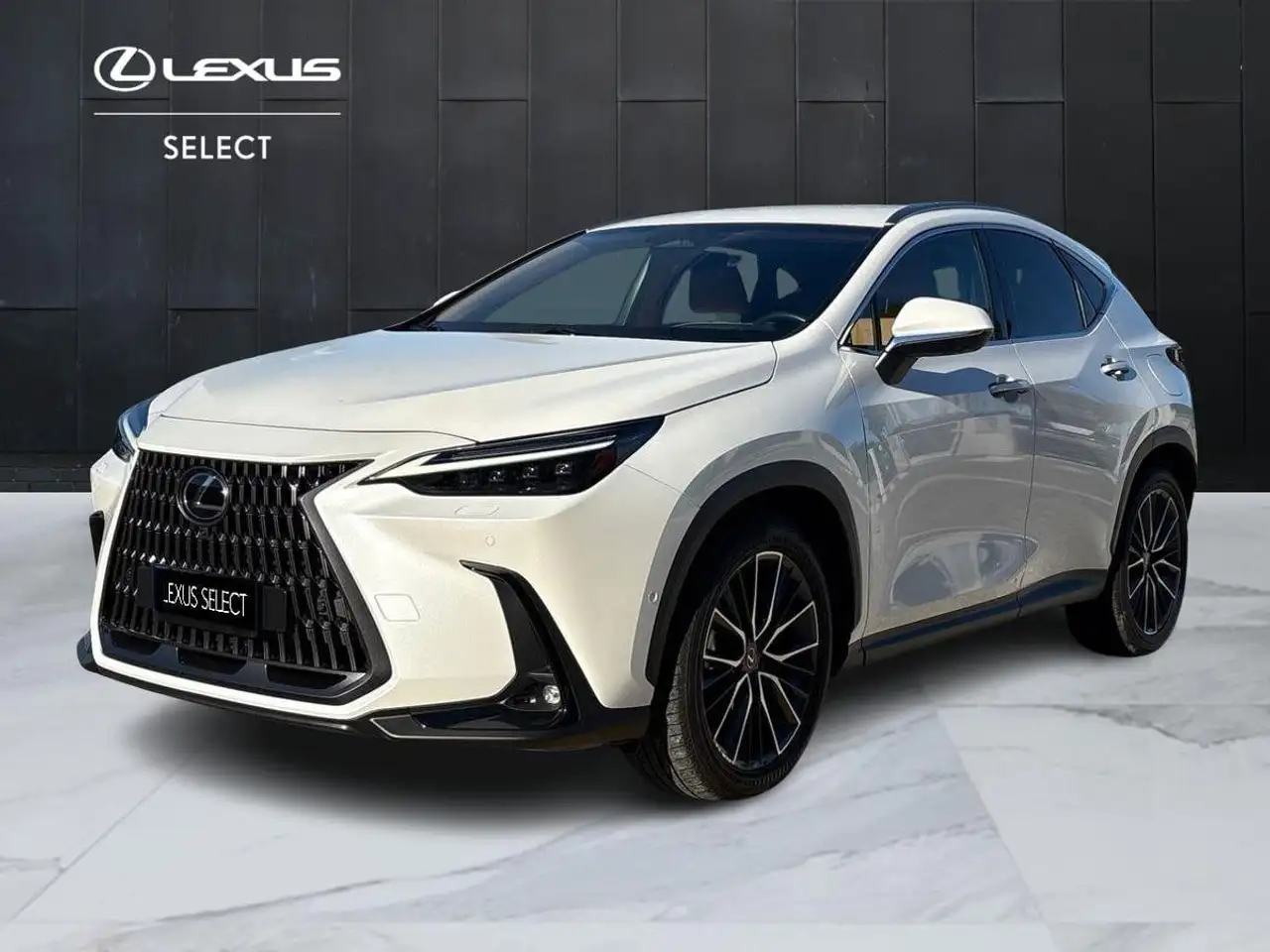 Lexus NX 450h+ II 2022 450h+ 2.5 phev Luxury 4wd 309cv e-cvt — photo 1 of 15