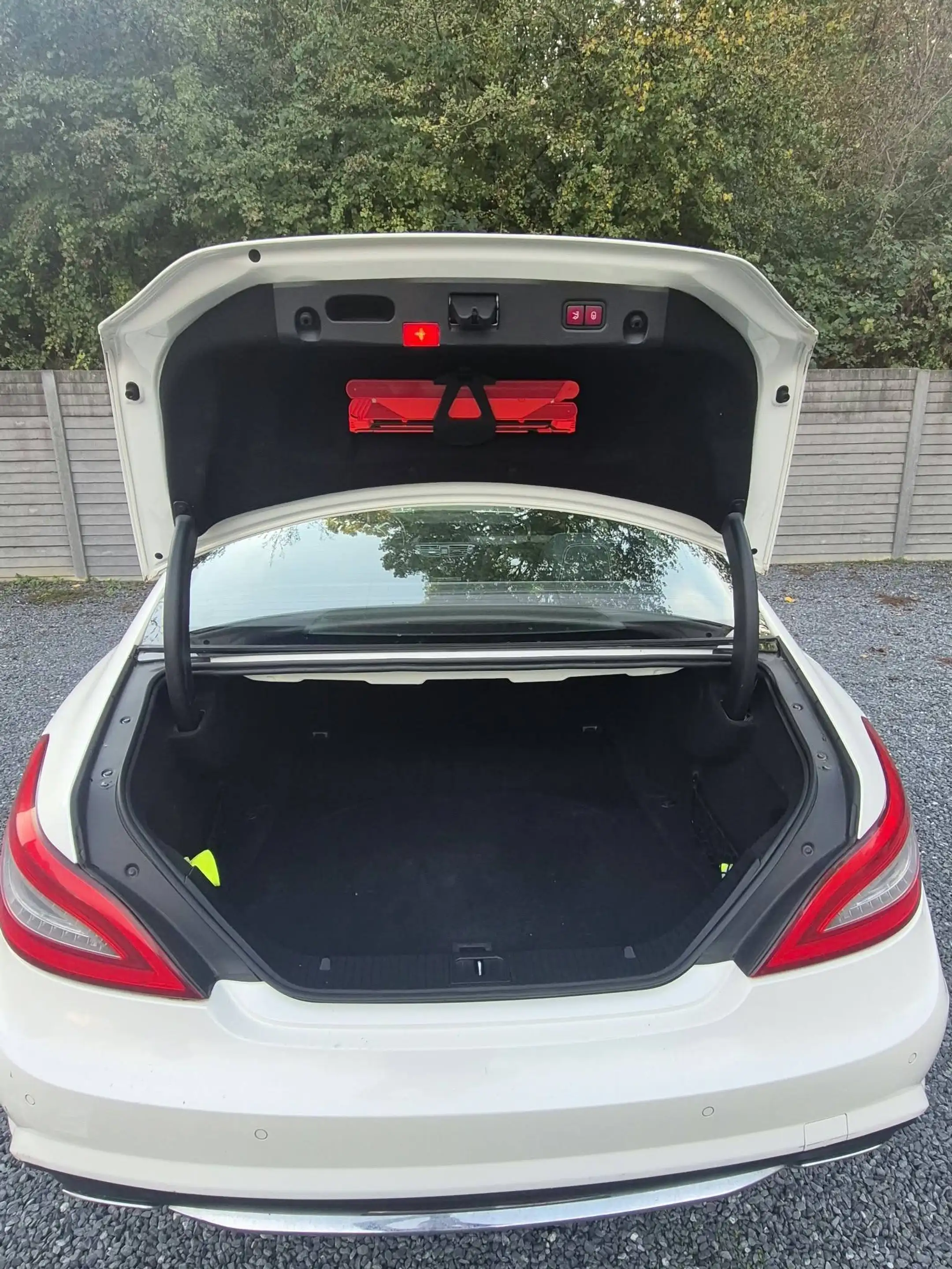 Mercedes-Benz CLS 250 CLS 250 CDI BE — photo 9