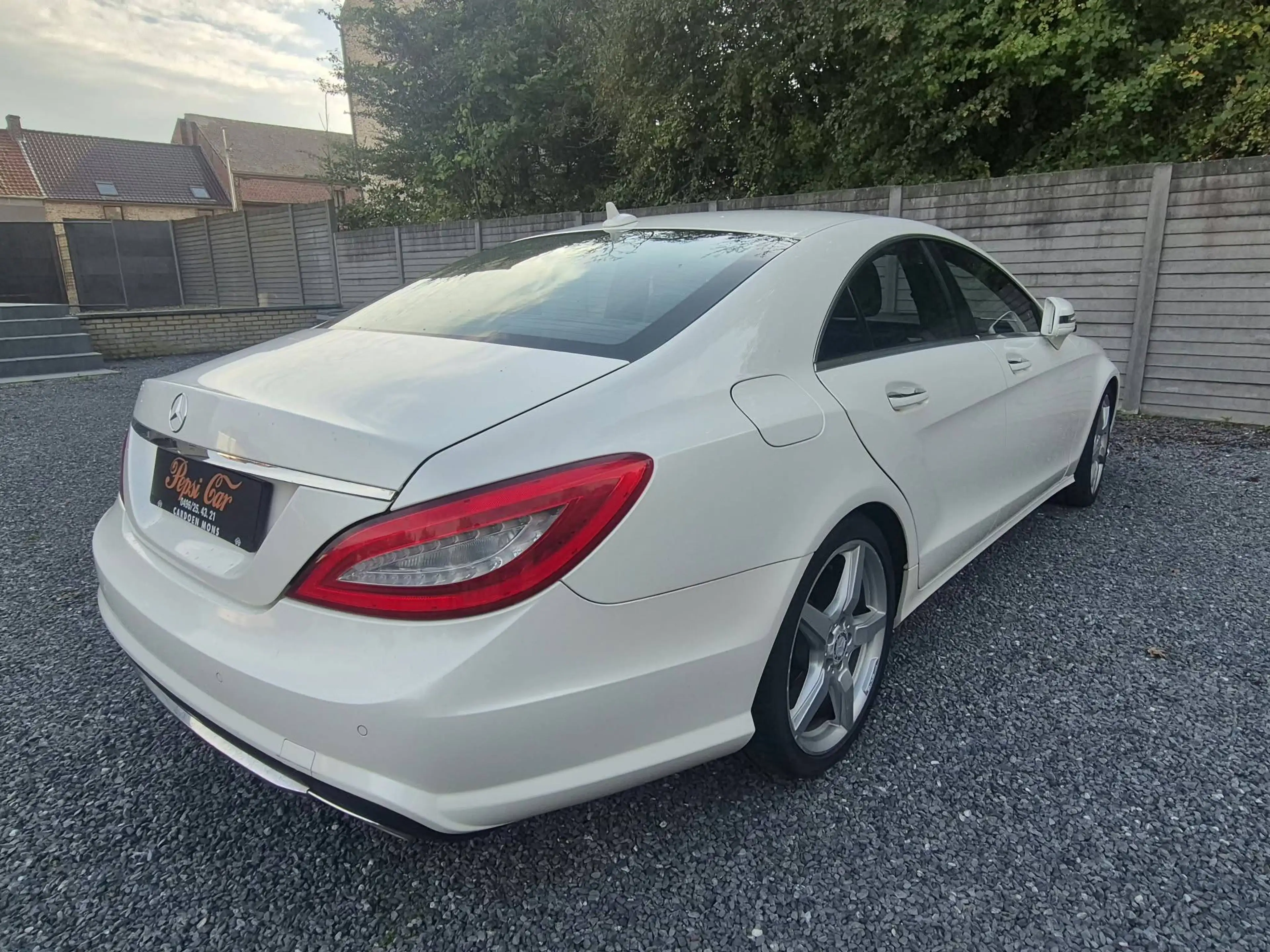 Mercedes-Benz CLS 250 CLS 250 CDI BE — photo 6