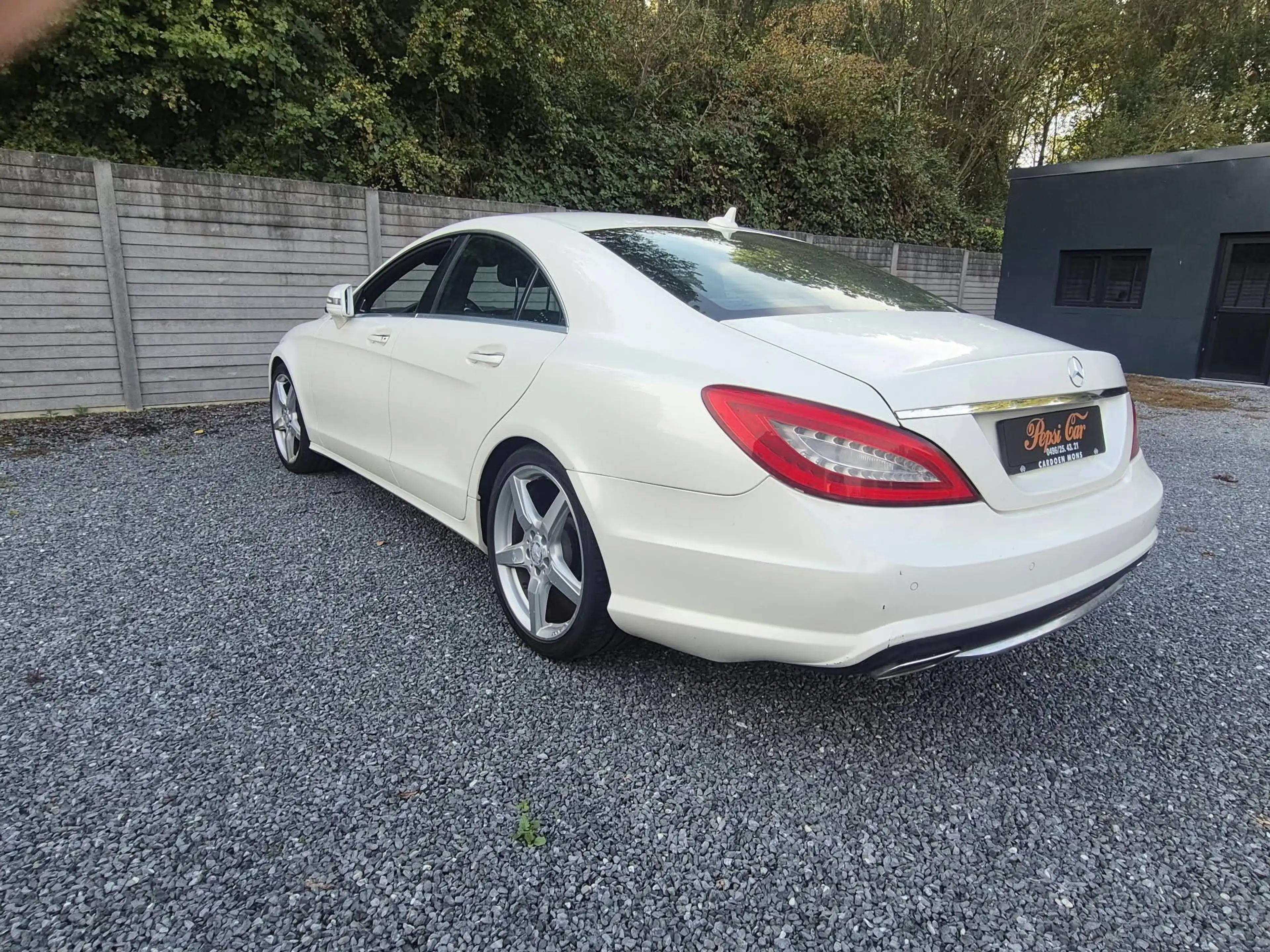 Mercedes-Benz CLS 250 CLS 250 CDI BE — photo 12
