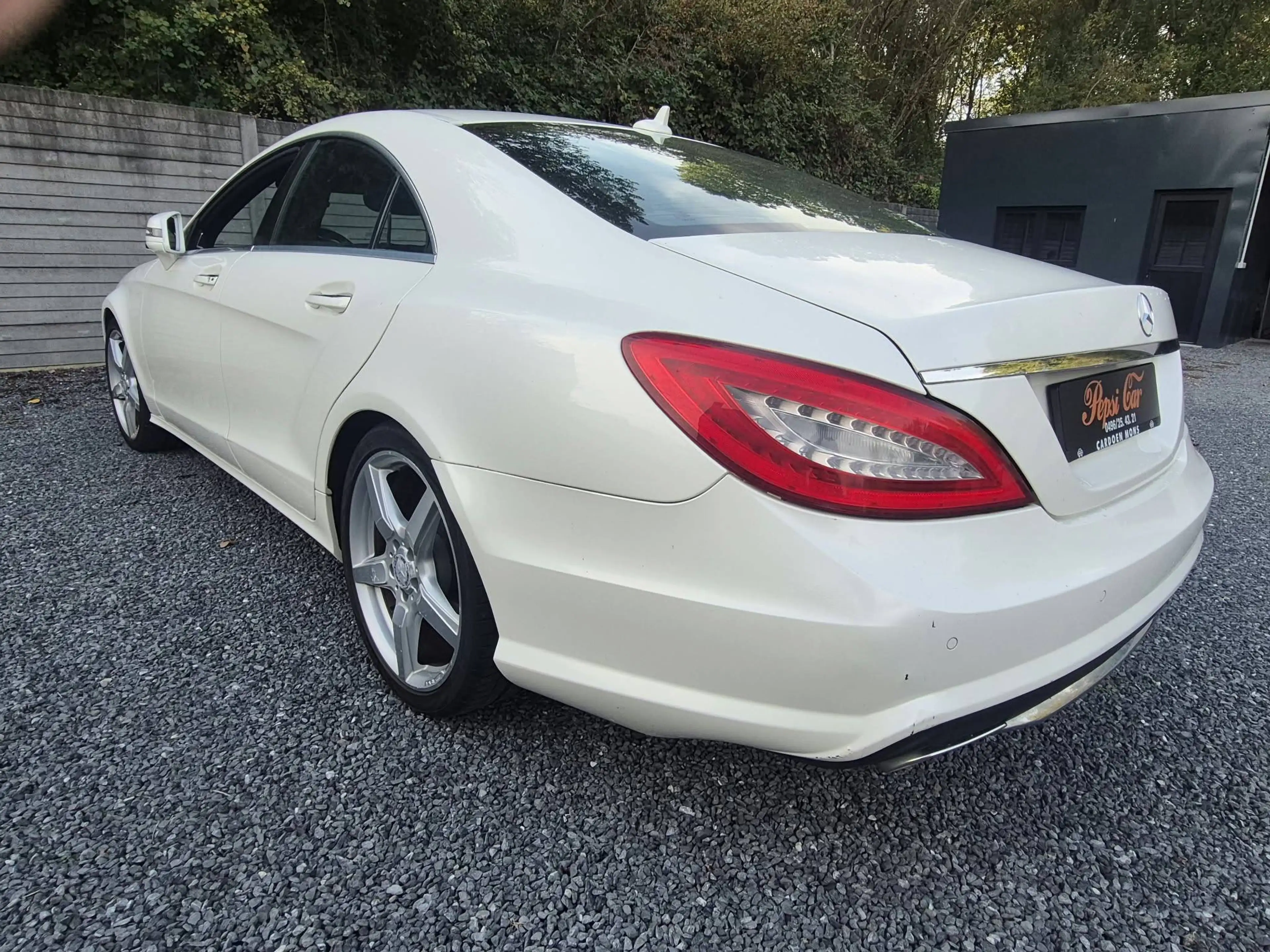 Mercedes-Benz CLS 250 CLS 250 CDI BE — photo 10