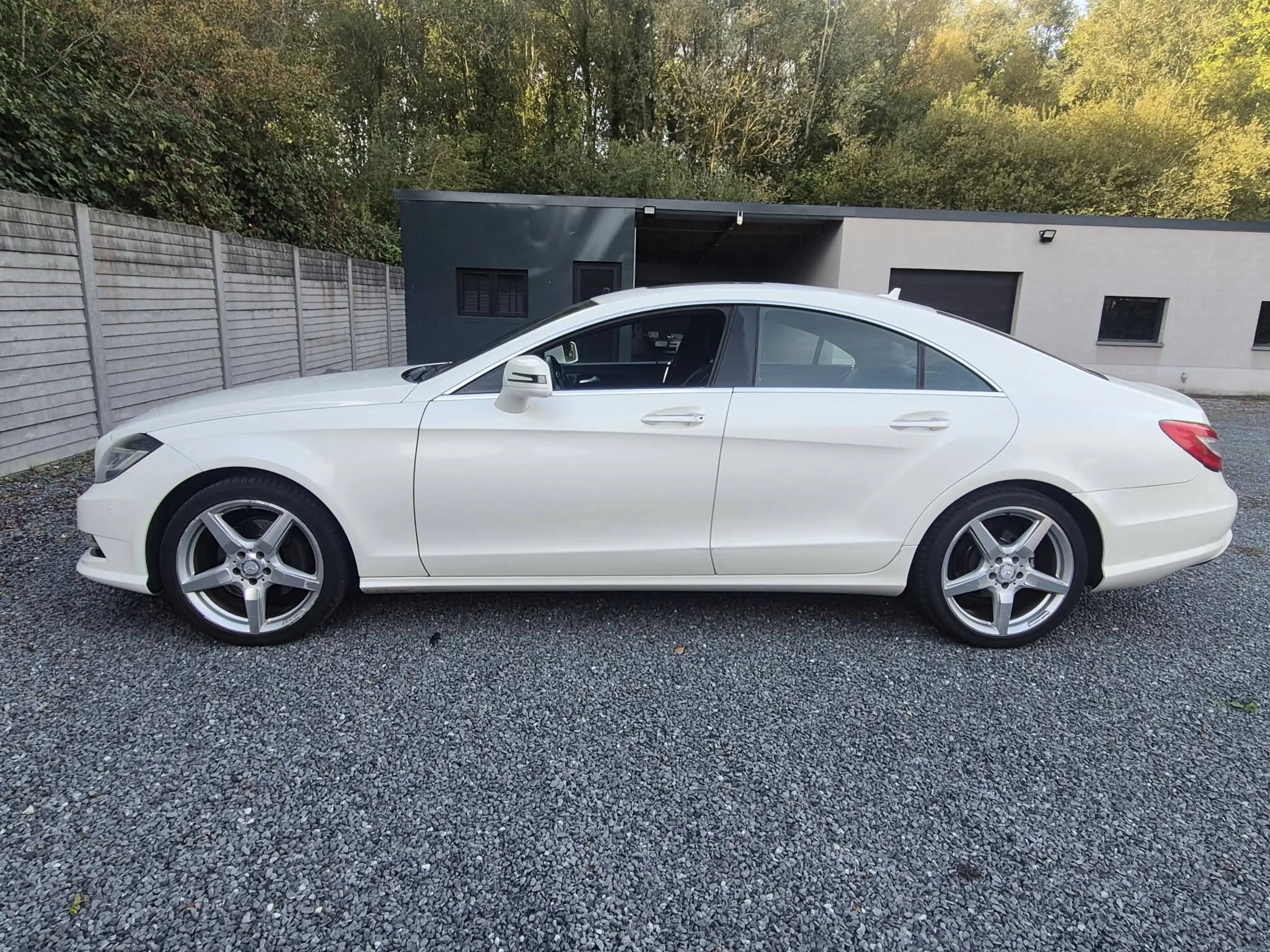 Mercedes-Benz CLS 250 CLS 250 CDI BE — photo 7
