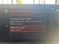 BMW X4 20 d Laserlicht HUD StandHZG Navi Leder Soundsyste Schwarz - thumbnail 19