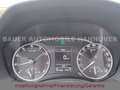 Skoda Octavia 1.8 Tsi/Combi Scout 4X4 /Tüv NEU Grijs - thumbnail 20