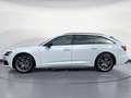 Audi A6 sport 50 TDI quattro AHK Blanc - thumbnail 3