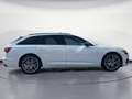 Audi A6 sport 50 TDI quattro AHK Blanc - thumbnail 6