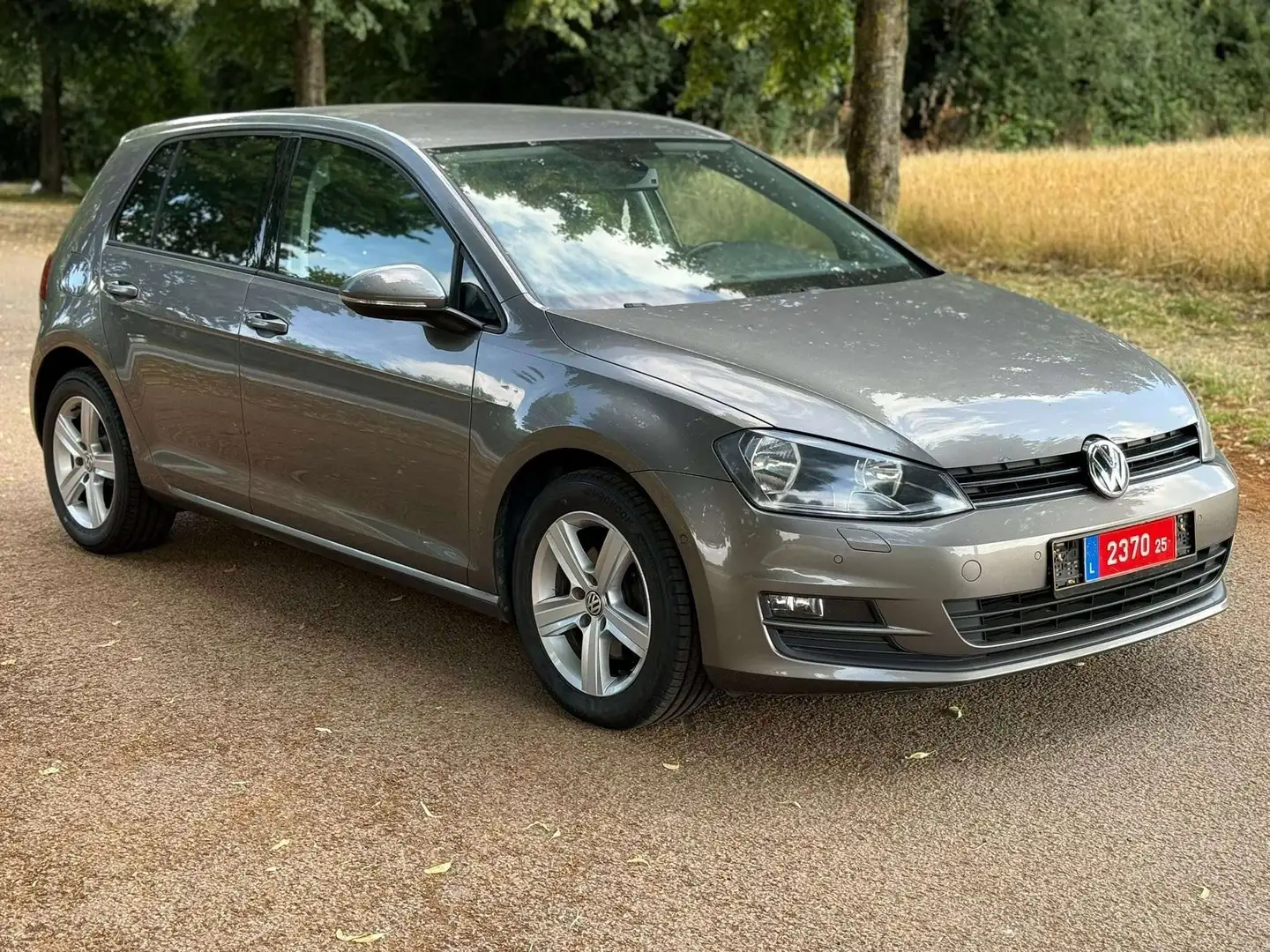 Volkswagen Golf Golf 1.6 TDI 105 BlueMotion Technology Argent - 1
