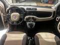 Fiat Panda Panda 1.3 mjt 16v Emotion 75cv Beige - thumbnail 10