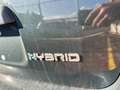 Fiat Panda 1.0 FireFly Hybrid Verde - thumbnail 3
