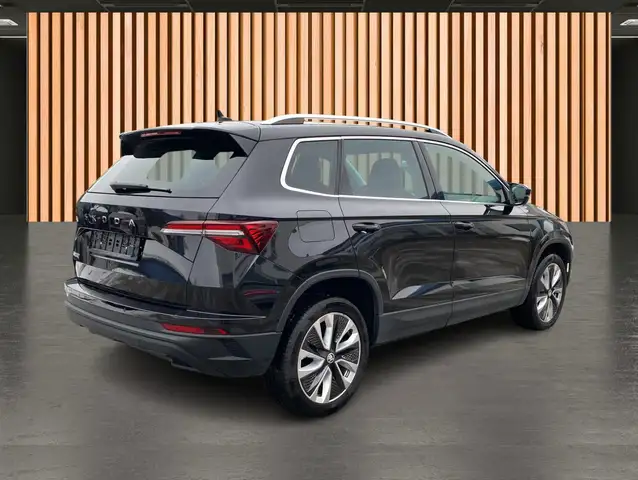 Skoda Karoq view 3