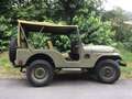 Jeep Willys M 38 A1 Grün - thumbnail 5