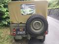 Jeep Willys M 38 A1 Grün - thumbnail 3