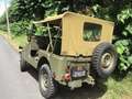 Jeep Willys M 38 A1 Grün - thumbnail 4