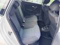Volkswagen Polo 1.2 Benzina 70cv 99.000km - Neopatentati Blanc - thumbnail 13