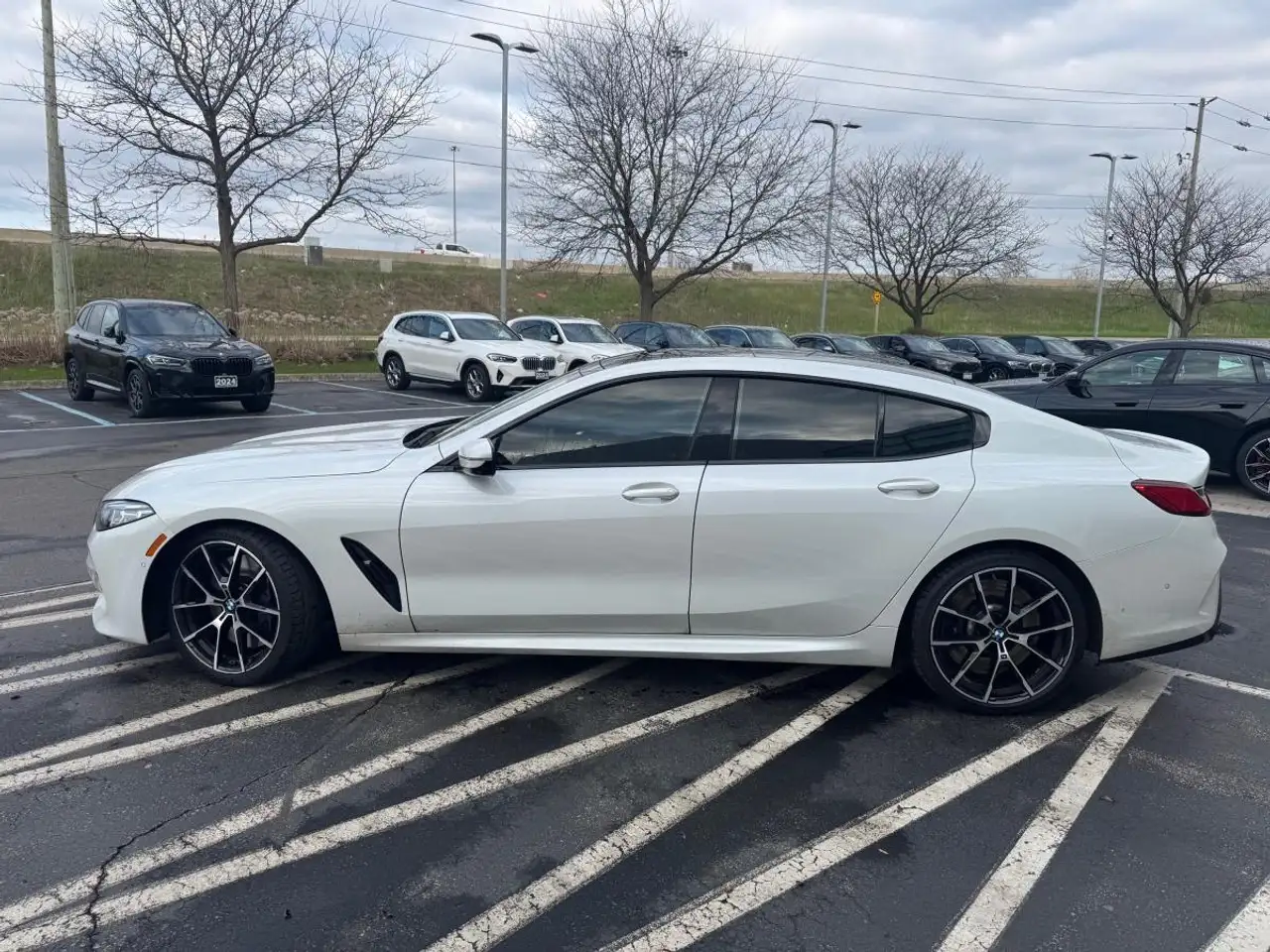 2020 BMW 8 Series