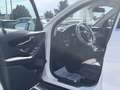 Mercedes-Benz GLC 220 d 4MATIC Aut. Weiß - thumbnail 9
