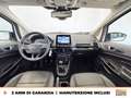 Ford EcoSport 1.0 ecoboost active s&s 125cv Bianco - thumbnail 10