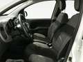 Fiat Panda 1.0 Mild Hybrid City Cross 4x2 Blanco - thumbnail 8