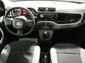 Fiat Panda 1.0 Mild Hybrid City Cross 4x2 Blanco - thumbnail 6