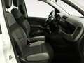 Fiat Panda 1.0 Mild Hybrid City Cross 4x2 Blanco - thumbnail 10