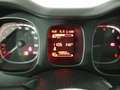Fiat Panda 1.0 Mild Hybrid City Cross 4x2 Blanco - thumbnail 13