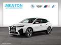 BMW iX xDrive50 Edition Sportpaket Head-Up HK HiFi Alb - thumbnail 2