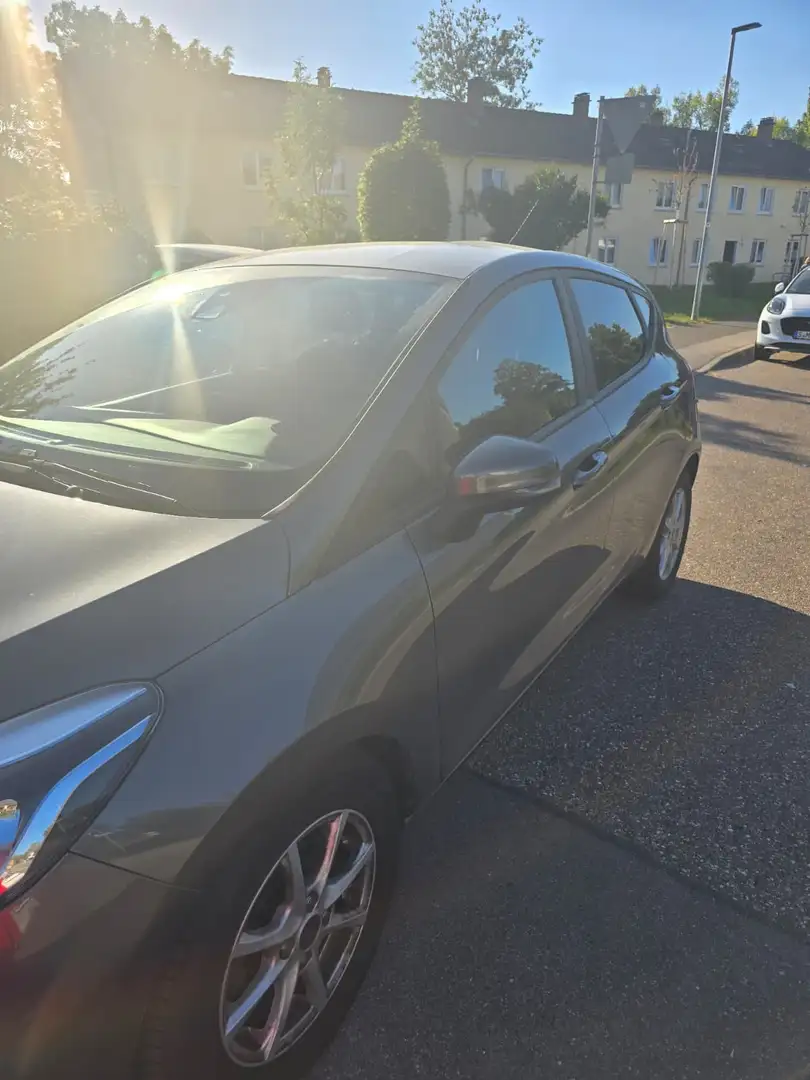 Ford Fiesta Sport Braun - 1