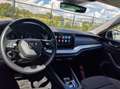 Skoda Octavia Octavia Combi 1.0 TSI e-TEC DSG Clever Noir - thumbnail 10