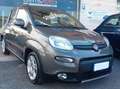Fiat Panda Panda III 2021 1.0 firefly hybrid City Life s Gris - thumbnail 1