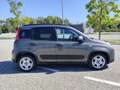 Fiat Panda Panda III 2021 1.0 firefly hybrid City Life s Gris - thumbnail 6