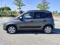 Fiat Panda Panda III 2021 1.0 firefly hybrid City Life s Gris - thumbnail 5