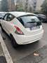 Lancia Ypsilon Ypsilon III 2015 1.2 Gold s - thumbnail 1