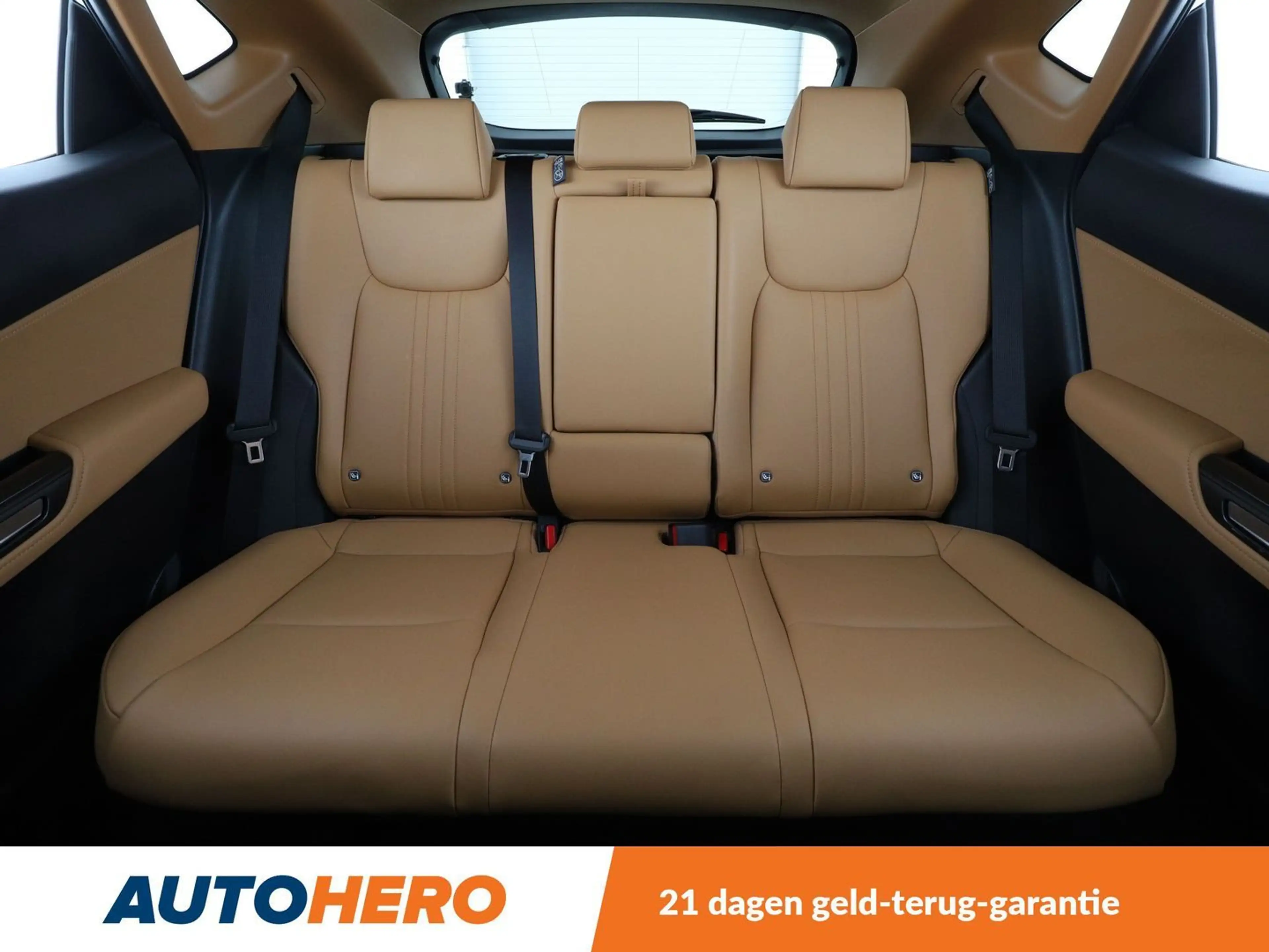 Lexus NX 450h+ NX 450h+ E-Four Luxury Line — photo 15