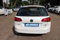 Volkswagen Golf VII Variant Comfortline 1.6 TDI DSG SHZ Nav White - thumbnail 8