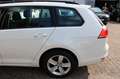 Volkswagen Golf VII Variant Comfortline 1.6 TDI DSG SHZ Nav White - thumbnail 20