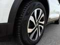 Volkswagen T-Roc ACTIVE 4x4 2,0 TDI DSG *LED MIT FERNLICHTASSIST... Белый - thumbnail 14